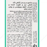 شامپو سر و بدن ناک